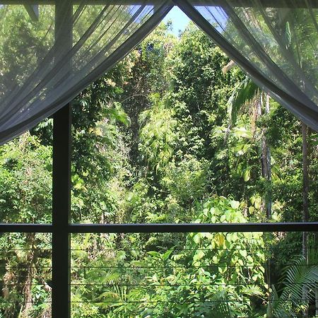 Silky Oaks Lodge Mossman Esterno foto