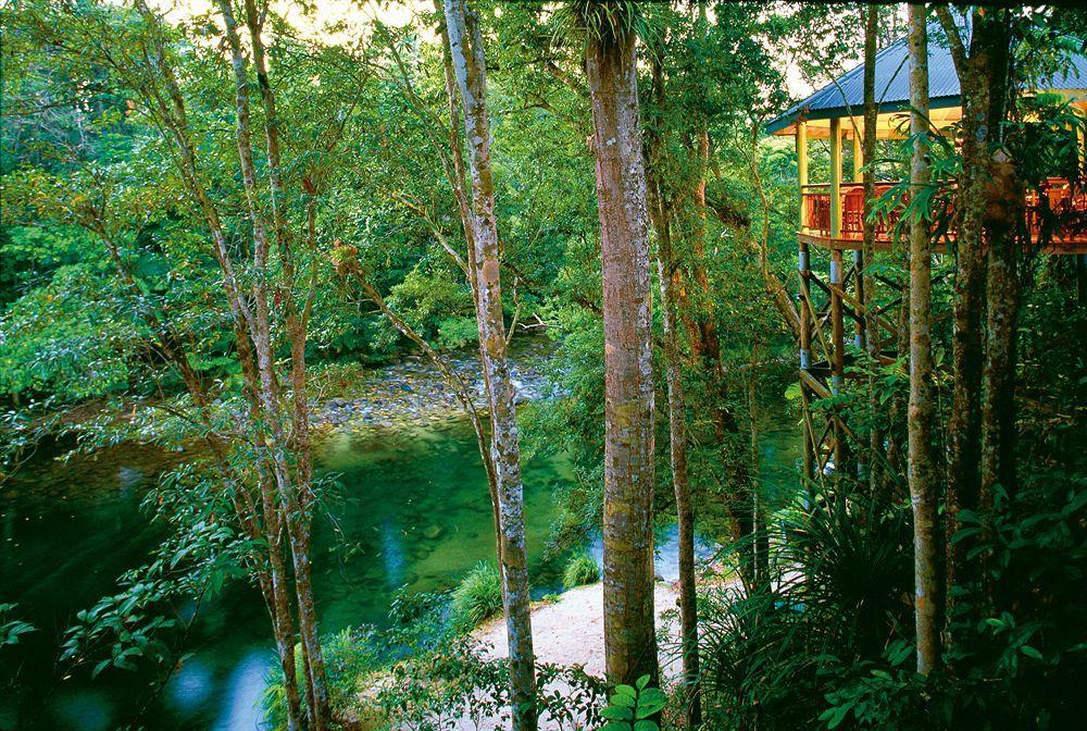 Silky Oaks Lodge Mossman Esterno foto