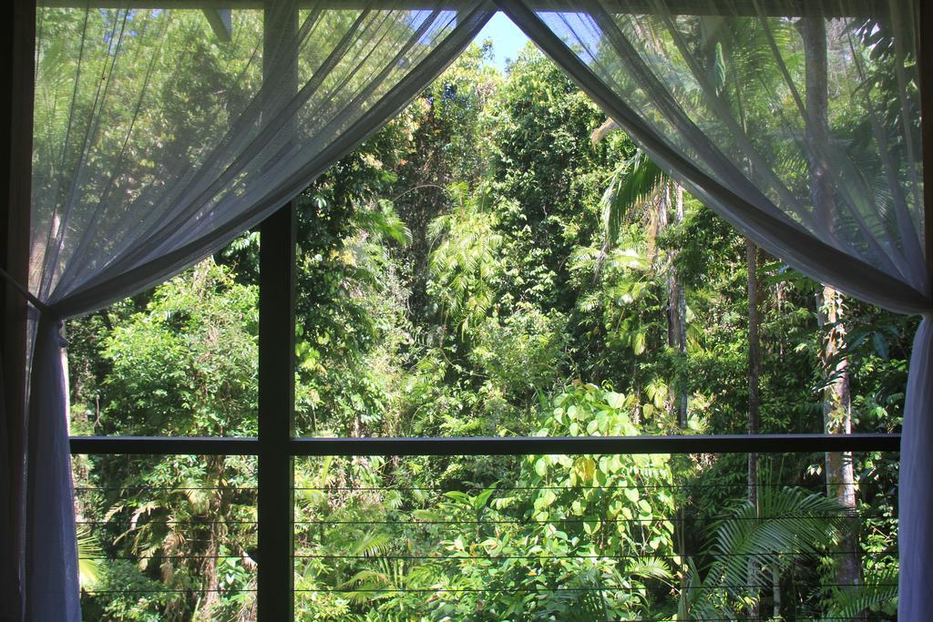 Silky Oaks Lodge Mossman Esterno foto