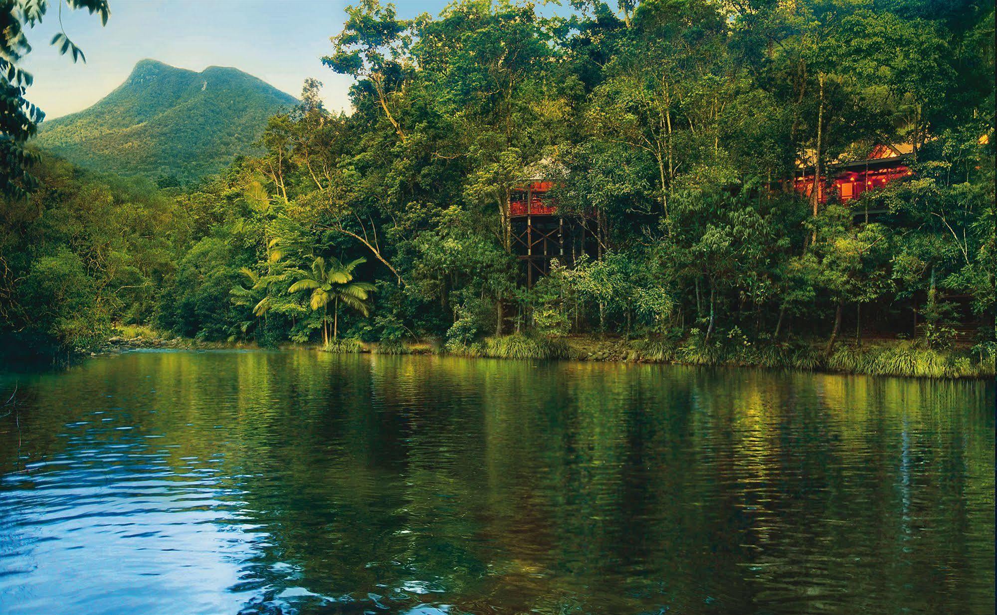 Silky Oaks Lodge Mossman Esterno foto